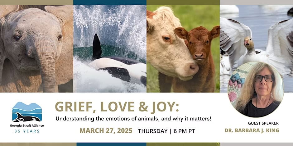 GriefLoveandJoyEventart